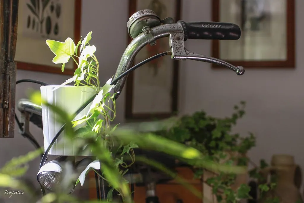 ***  Il Salotto Di Maria Pia Bed & Breakfast Syracuse Italy